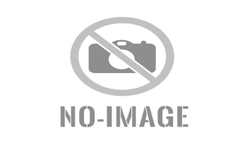 ຄະນະບໍລິຫານງານພັກແຂວງ ສະໄໝທີ່ V